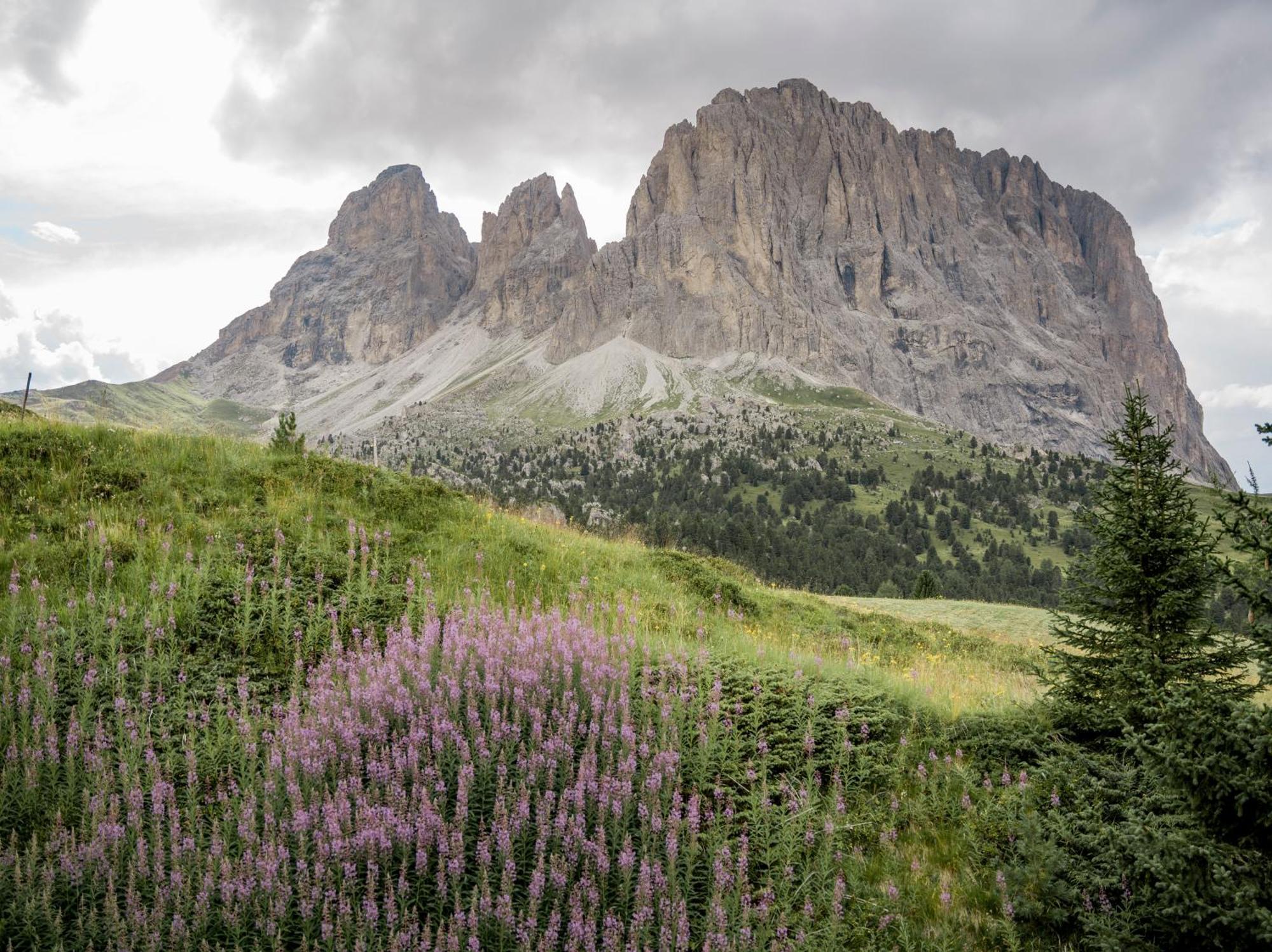 乌丽德迷人酒店 Santa Cristina Val Gardena 外观 照片