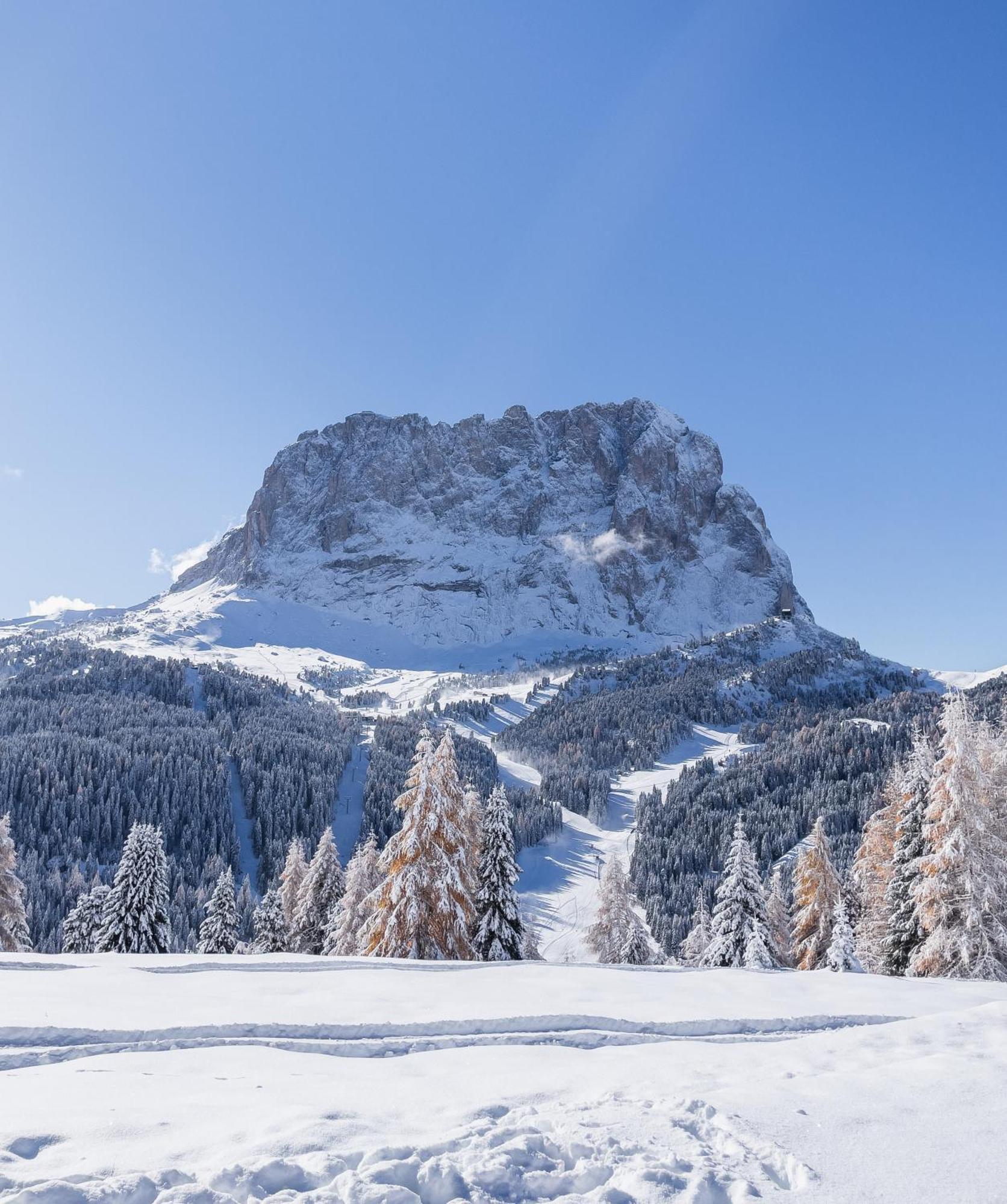 乌丽德迷人酒店 Santa Cristina Val Gardena 外观 照片